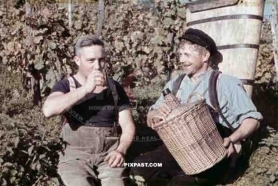 men drinking some wine on vineyard in Baden-Wuerttemberg, Germany ~1938