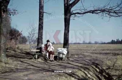mother sitting on a bench with her two children, Germany 1938