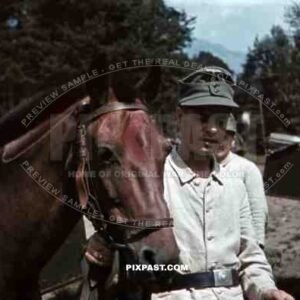 soldier with packhorse in Landeck, Austria 1941, Pontlatz Kaserne
