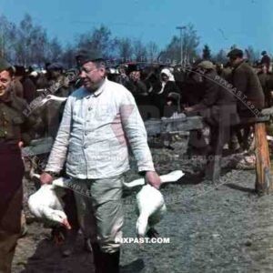spring market in Turobin, Poland 1941