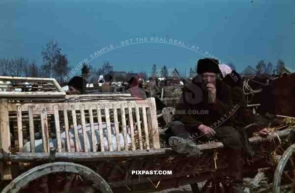 spring market in Turobin, Poland 1941